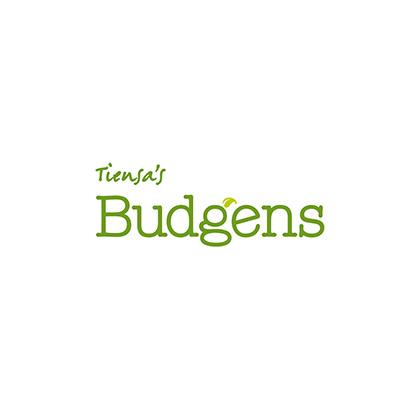 Budgens logo