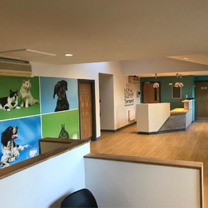 Vets counter Vets counter